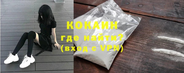 индика Нея