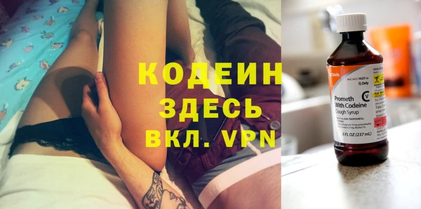 индика Нея