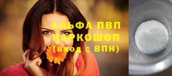 индика Нея
