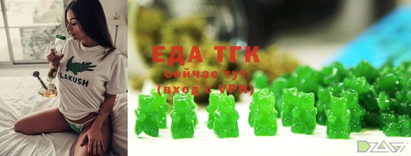 индика Нея