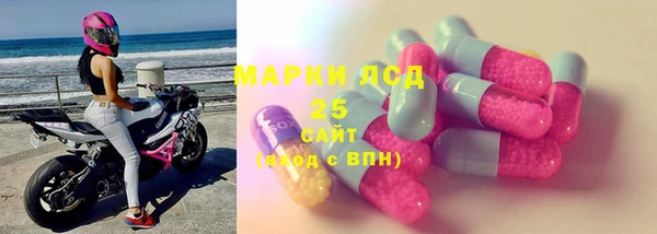 индика Нея