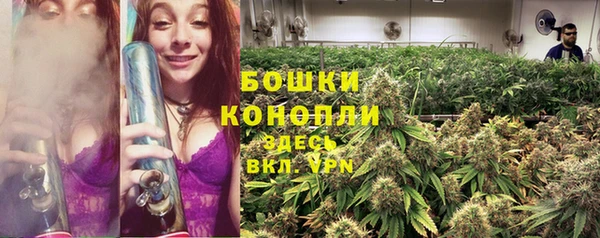 индика Нея