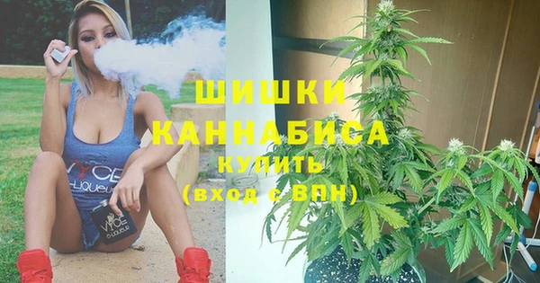 индика Нея