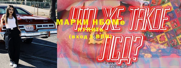 спиды Новозыбков